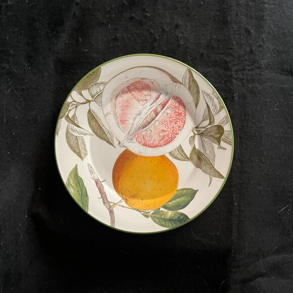 Vintage Discontinued Williams Sonoma Botanical Citrus Bowls/Plates - Picture 6 of 11